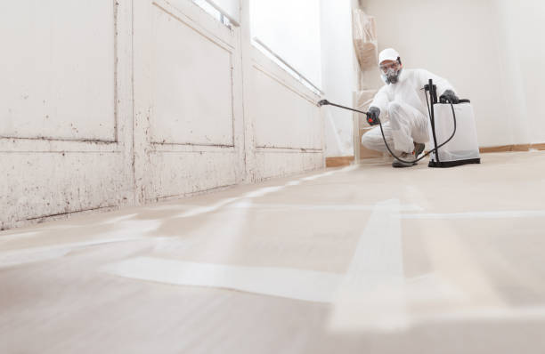 24/7 Emergency Attic Mold Removal experts in Inwood, FL
